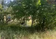 Eskişehir’de ağaçlık alanda şüpheli ölüm