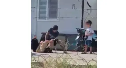 Hatay’da çocukların gözü önünde eşini darp etti