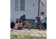 Hatay’da çocukların gözü önünde eşini darp etti