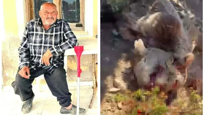 İzmir'de 1 kişiyi öldüren ayı etkisiz hale getirildi haberinin görseli