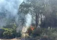 İzmir'deki orman yangınında 1 tutuklama