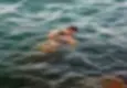 İzmir haber: Denizde erkek cesedi bulundu
