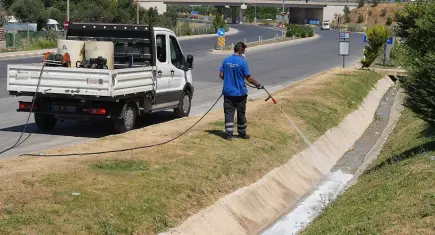 Kemalpaşa’da haşerelere karşı yaz mesaisi