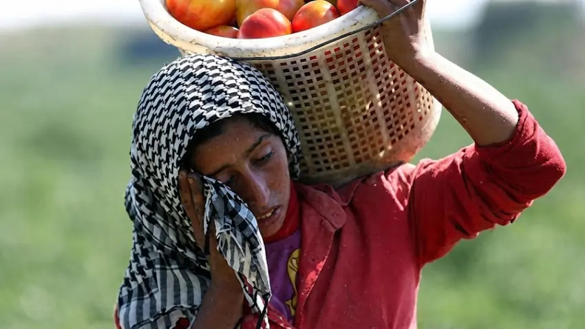 çiftçi