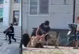 Eşini bıçak tehdidiyle darp eden şüpheli tutuklandı