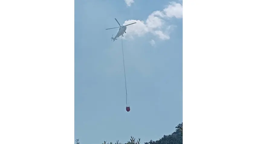 İzmir haber: Bayındır’da orman yangın haberinin görseli