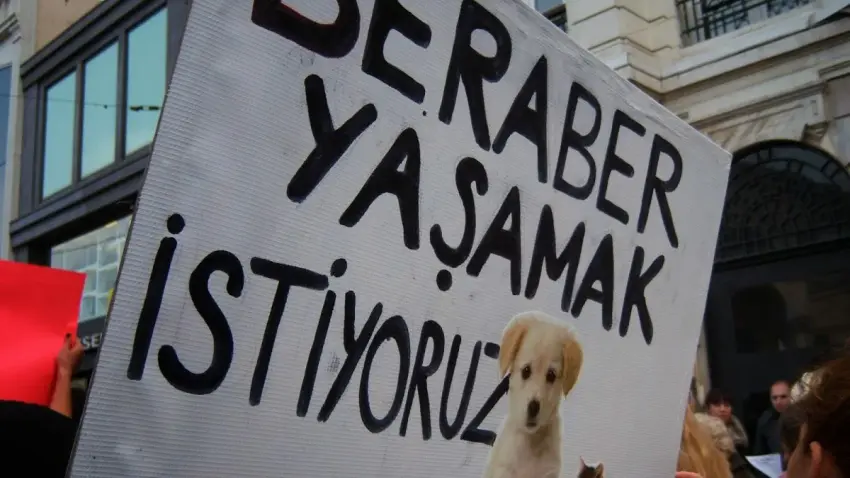k&ouml;pek