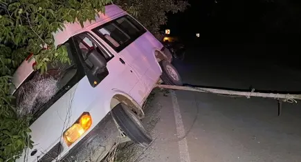 Ödemiş'te minibüs ağaca çarptı: 2 yaralı