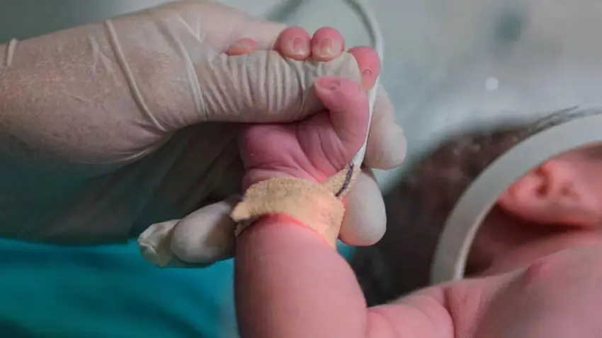Yenidoğan Çetesi davasında 9'uncu duruşma başladı haberinin görseli