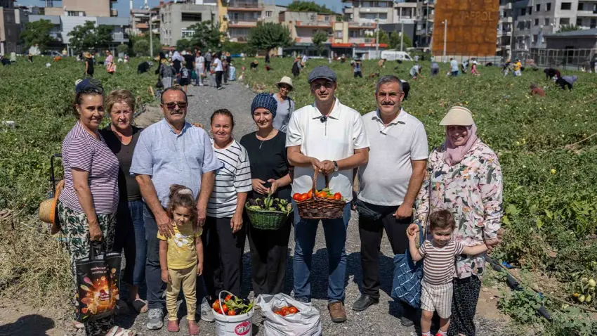 Doğanlar Kent Bostanı'nda yaz hasadı başladı haberinin görseli