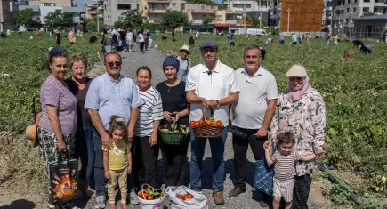 Doğanlar Kent Bostanı'nda yaz hasadı başladı