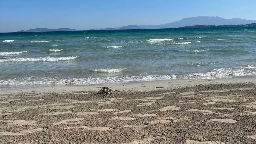 İzmir haber: Çeşme’de denizde 80 yaşındaki kadının cesedi bulundu haberinin görseli
