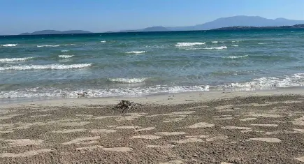 İzmir haber: Çeşme’de denizde 80 yaşındaki kadının cesedi bulundu