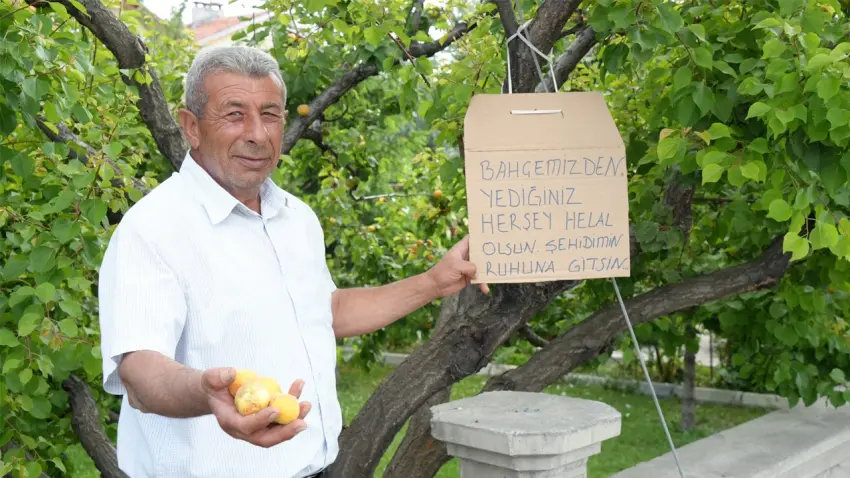 şehit