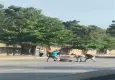 Trafikte sopalarla saldıran 4 şüpheli tutuklandı