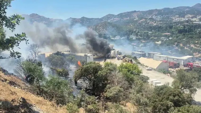 Bodrum'da makilik alanda yangın haberinin görseli