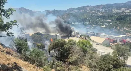 Bodrum'da makilik alanda yangın