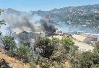 Bodrum'da makilik alanda yangın