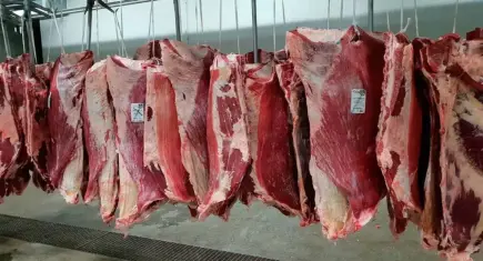 Kırmızı et fiyatlarında düşüş hız kazandı