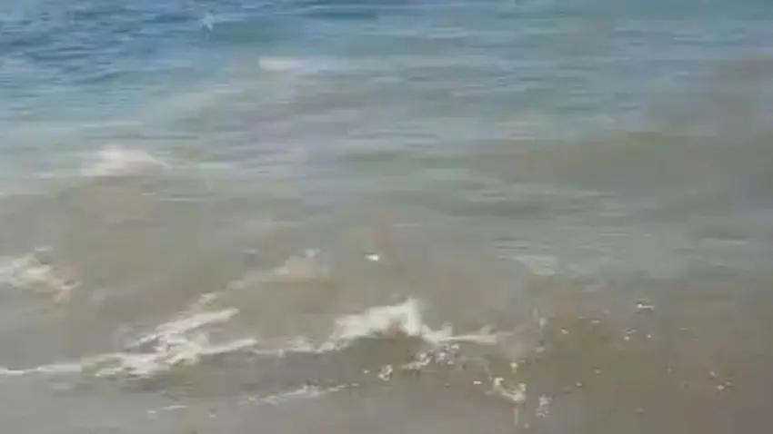 Bodrum'da sintine kirliliğine geniş çaplı soruşturma başlatıldı haberinin görseli