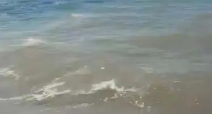 Bodrum'da sintine kirliliğine geniş çaplı soruşturma başlatıldı