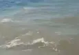 Bodrum'da sintine kirliliğine geniş çaplı soruşturma başlatıldı