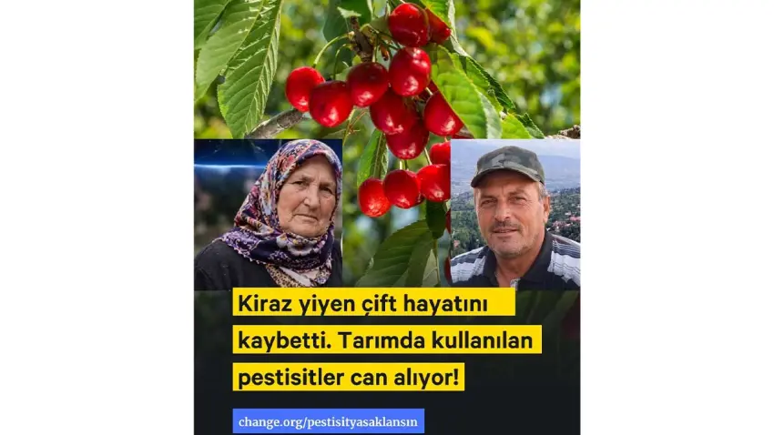 tarım