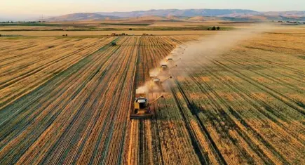 Tarım ve gıda ürünlerinde ithalat vergileri yeniden belirlendi! İşte yeni oranlar