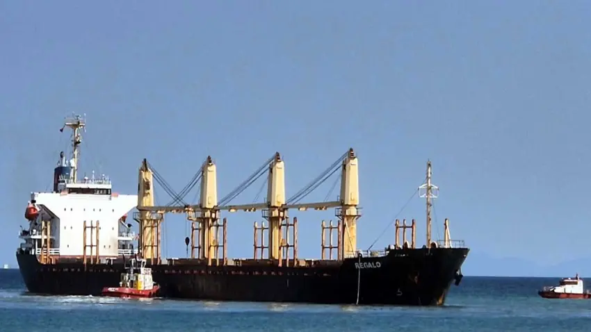  Tekirdağ açıklarında yük gemisi karaya oturdu: Can kaybı ve deniz kirliliği yok haberinin görseli