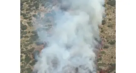 Antalya Demre’de orman yangını