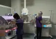 Hemşire kılığına girerek yenidoğan servisinden bebek kaçırmaya çalıştı