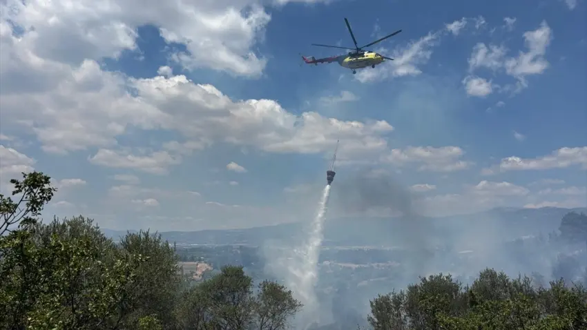 İzmir haber: Kemalpaşa'da zeytinlik yangını kontrol altına alındı haberinin görseli