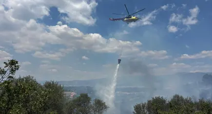 İzmir haber: Kemalpaşa'da zeytinlik yangını kontrol altına alındı