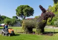 Kültürpark'a üç yeni bitkisel heykel