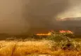 Muğla'da orman yangını