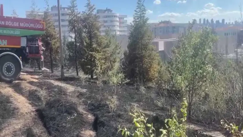 ODTÜ Ormanı'nda yangın haberinin görseli