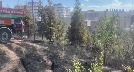 ODTÜ Ormanı'nda yangın