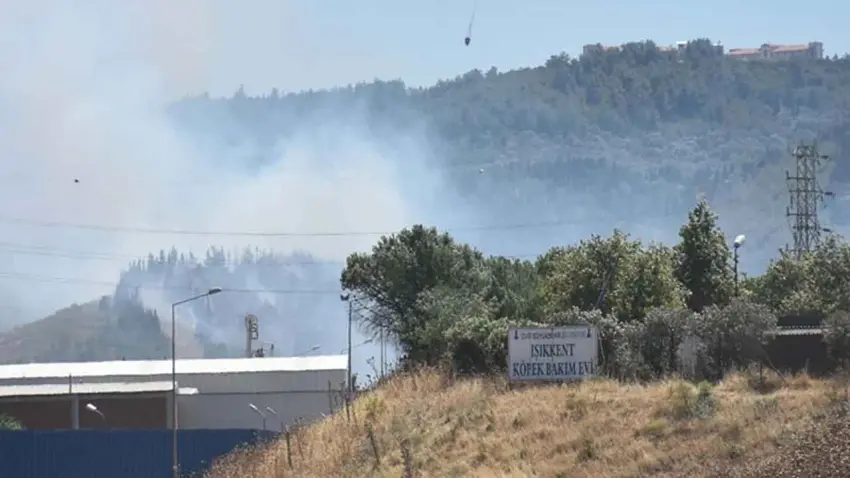 Bornova'da otluk alanda başlayan yangın ormana ulaştı haberinin görseli