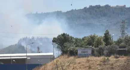 Bornova'da otluk alanda başlayan yangın ormana ulaştı