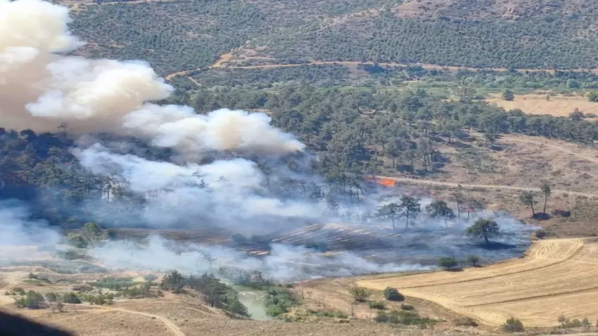 Bursa'da orman yangını: Tarım arazisinde başlayan alevler ormana sıçradı! haberinin görseli