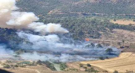 Bursa'da orman yangını: Tarım arazisinde başlayan alevler ormana sıçradı!