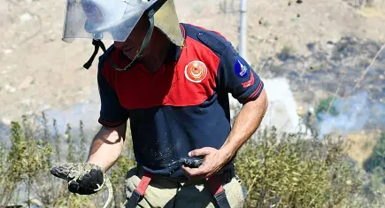 İzmir'deki orman yangınında itfaiye ekipleri bukalemunu kurtardı