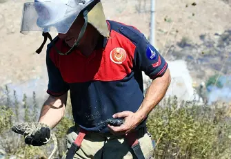İzmir'deki orman yangınında itfaiye ekipleri bukalemunu kurtardı
