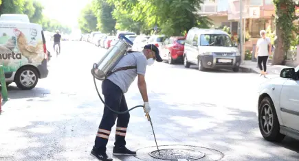 Karşıyaka'da haşerelere karşı ilaçlama çalışmaları sürüyor