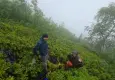 Rize yaylalarında kaybolan 3 Rus turist 10 saatin sonunda kurtarıldı