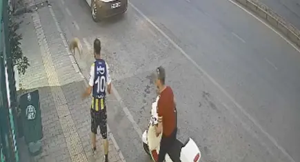 Samsun'da kediye şiddet anları kamerada