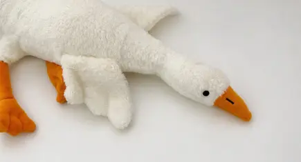 Çocuklar için risk taşıdığı belirlendi: Peluş kaz oyuncağı toplatılıyor