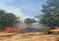 Gemlik'te korkutan anız yangını