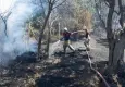 Homeros Vadisi’nde çıkan yangına hızlı müdahale