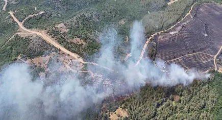 Şarköy’de rüzgar alevleri körükledi: Anız yangını ormana sıçradı!